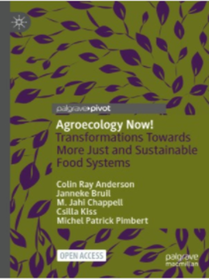 cover image of Agroecology Now!: Transformations Towards More Just and Sustainable Food Systems